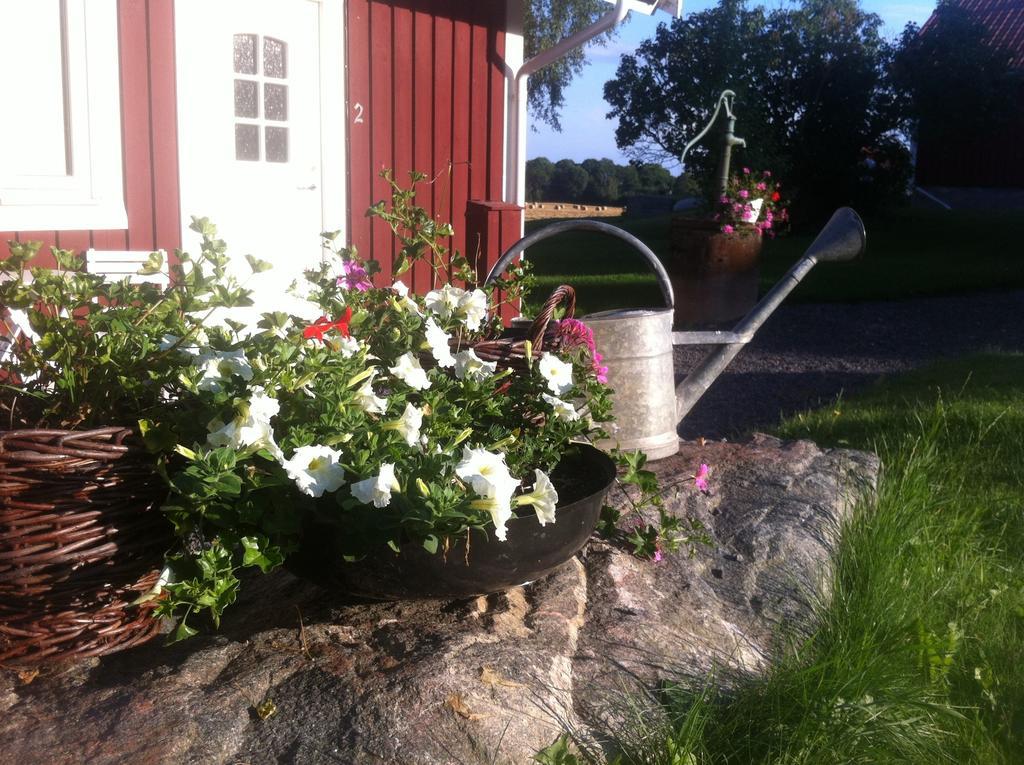 Hogby Spa & Konferens Borensberg 객실 사진